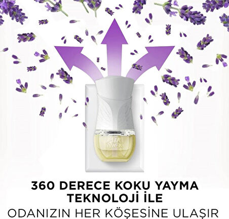 Air Wick Elektrikli Oda Kokusu Yedek Şişe Lavanta x 3