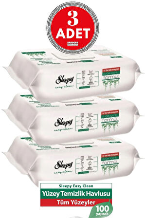 Sleepy Easy Clean Yüzey Temizlik Havlusu 100' Lü X 3 Adet (300 YAPRAK)