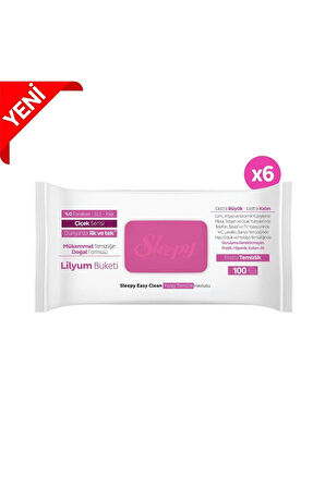 Sleepy Easy Clean Lilyum Buketi Yüzey Temizlik Havlusu&mendili 6x100 (600 YAPRAK)