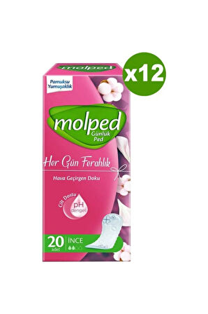 Molped Her Gün Ferahlık Günlük Ped 240 Adet
