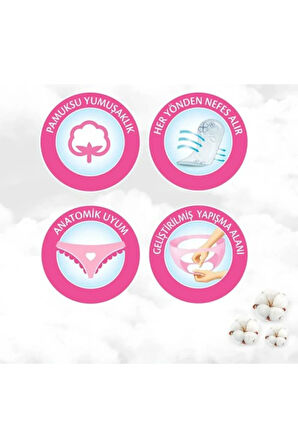 Molped Her Gün Ferahlık Günlük Ped 240 Adet