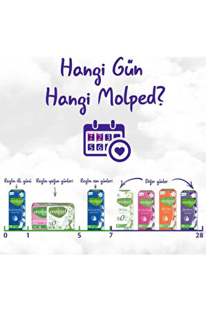 Molped Her Gün Ferahlık Günlük Ped 240 Adet