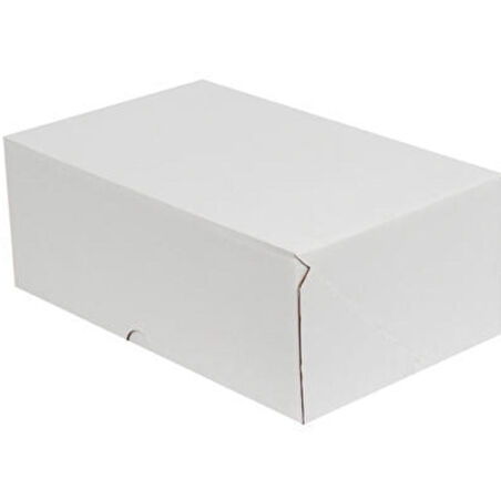 Beyaz Kargo Kutusu-100 adet (20x13x7,5 cm-Kilitli Kutu)