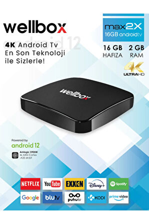 WELLBOX MAX2X Android TV BOX Wi-Fi Bluetooth HDMI Uydu Alıcısı