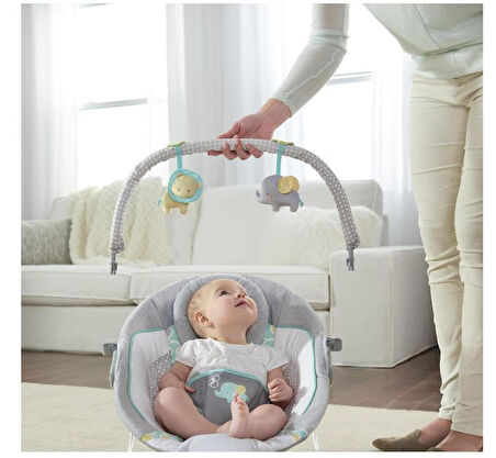 Ingenuity  Titreşimli, Oyuncak Barlı ve Sesli, 0-6 Ay Ana Kucağı