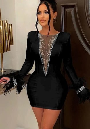 Modavera Kadın Dalgıç Kumaş Tül Ve Taş Aksesuarlı Kolları Tüylü Mini Boy Elbise