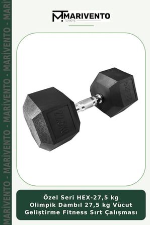Özel Seri HEX-27,5 kg Olimpik Dambıl 27,5 kg Vücut Geliştirme Fitness Sırt Çalışması