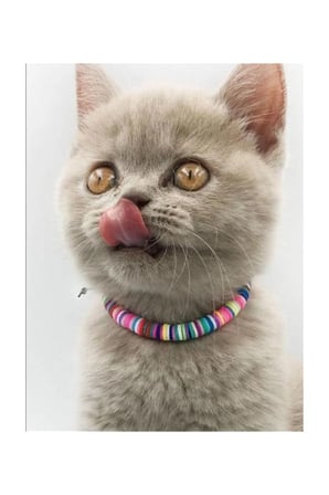 Evcil Hayvan Ayarlanabilir Boncuk Kedi Köpek Isimli Tasma