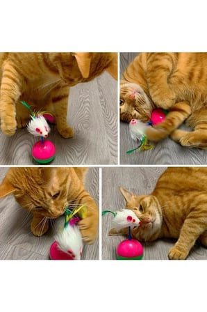 Devrilmeyen Denge Toplu Peluş Fare Yavru Kedi Eğlence Aparatı