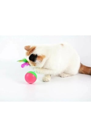Sallanan Gövdeli Kedi Eğlence Topu Tüy Süslemeli Avlanma Alıştırma Gereci