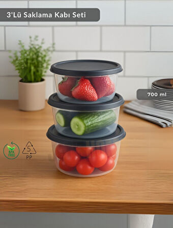 Yuvarlak 3'Lü Saklama Kabı Bpa Free Derin Dondurucu için Uygun Beslenme Kabı 700 ml