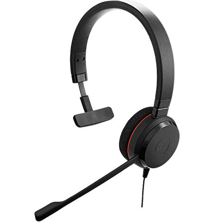 Jabra Evolve 20 Mono USB Kablolu Kulaklık