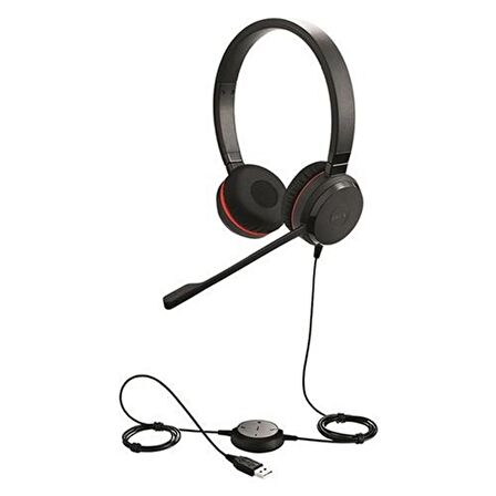 JABRA EVOLVE 30 DUO USB KULAKLIK