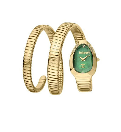 Just Cavalli JC1L209M0045 Kadın Kol Saati