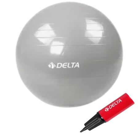 Delta 55 Cm Kutulu Pilates Topu Gümüş JCG338