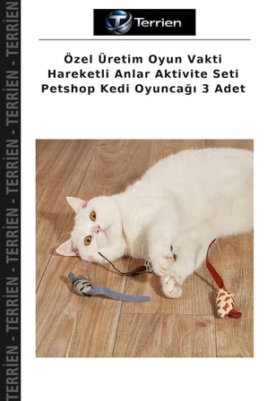 Özel Üretim Oyun Vakti Hareketli Anlar Aktivite Seti Petshop Kedi Oyuncağı 3 Adet