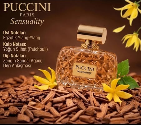Puccini Paris Sensuality Sandal Ağacı Kalıcı ve Büyüleyici Kadın Parfümü