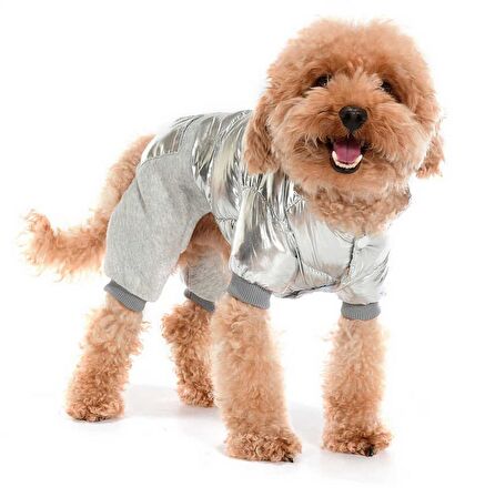 Küçük ve Orta Irk Köpek Paçalı Mont Orvar