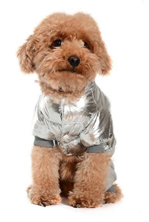 Küçük ve Orta Irk Köpek Paçalı Mont Orvar