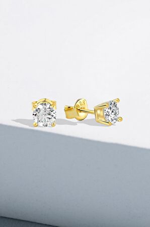 Gümüş Zirkon 5,0 mm Tel Tırnak Tek Taş Pırlanta Montür Gold Küpe