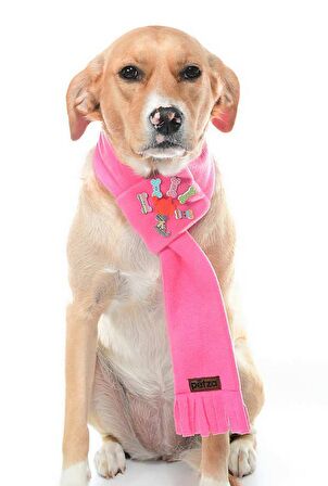 Polar Köpek Atkısı - Meyta