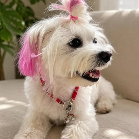 Pembe İp Kedi Köpek Kolyesi Gümüş Renk