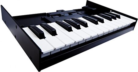 ROLAND K-25M Klavye Ünitesi