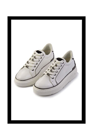 Beyaz Yılan  Kadın Sneaker K01345095507