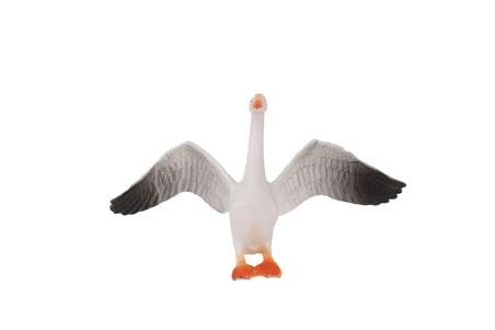 Miniklabtoys Kzl-Hy714-1 Kuşlar