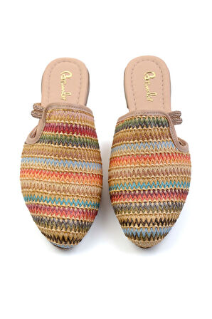 Çok Renkli  Kadın Terlik K04823123828