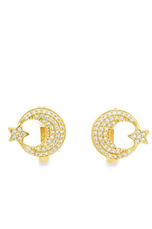 Cigold Taşlı Küpe 14 Ayar Altın 2.80 Gr OA-K1TB101029407