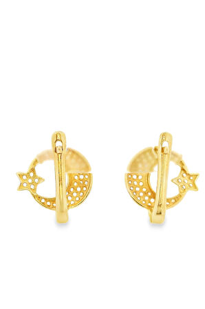 Cigold Taşlı Küpe 14 Ayar Altın 2.80 Gr OA-K1TB101029407