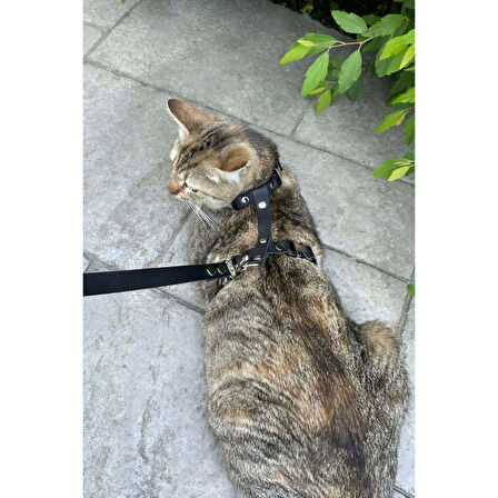 MARSİLYAN- Kedi Gezdirme Tasması, Deri Kedi Gezdirme Tasması - NPC007