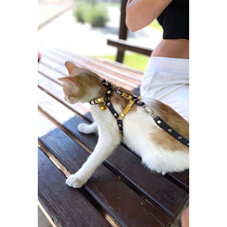 MARSİLYAN- Sarı Lacivert Fanatik Kedi Tasması, Kedi Gezdirme Tasması, Kedi Göğüs Tasması - NPC003