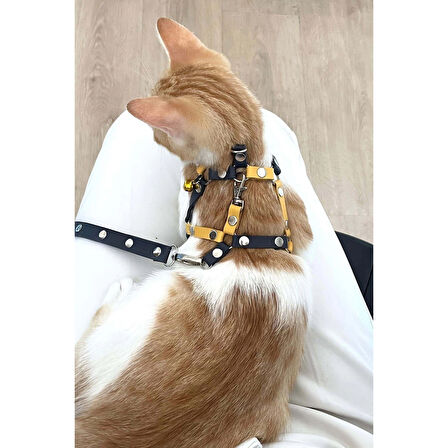 MARSİLYAN- Sarı Lacivert Fanatik Kedi Tasması, Kedi Gezdirme Tasması, Kedi Göğüs Tasması - NPC003