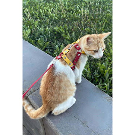 MARSİLYAN- Deri Kedi Gezdirme Tasması, Deri Kedi Göğüs Tasması - NPC013