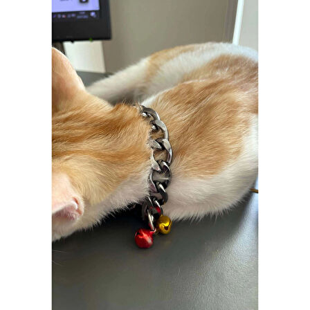 MARSİLYAN- Rapçi Kedi Tasması, Zincir ve Zilli Kedi Tasması - NPC012