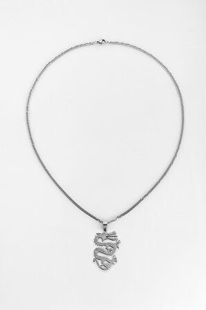 316L Çelik Silver Wing Ejderha Kolye