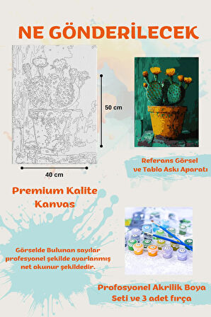 Sayılarla Boyama Seti Numaralı Tuval Fırça Boya KAKTÜS 40X50 Cm