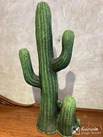 Kaktüs Büyük Bahçe Balkon Dekor Ürünü