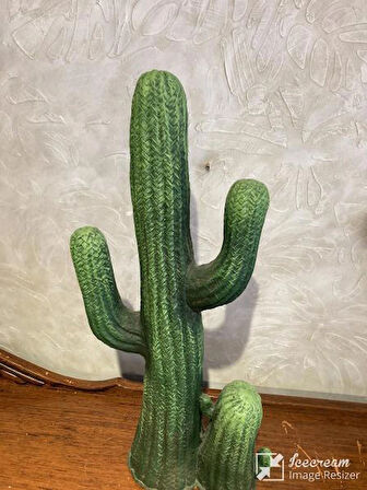 Kaktüs Büyük Bahçe Balkon Dekor Ürünü