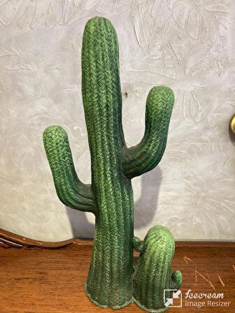 Kaktüs Büyük Bahçe Balkon Dekor Ürünü