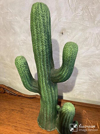 Kaktüs Büyük Bahçe Balkon Dekor Ürünü