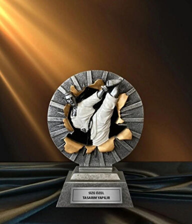 AYYILDIZ BAYRAKÇILIK ÖDÜL KUPASI Dövüş Sanatları Karate 16cm Boyunda Grili Döküm Kupa