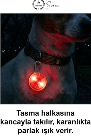 #TasmaIşığı Köpek Kedi Evcil Hayvan Işıklı LED Tasma Aparatı Suya Dayanıklı Uzun Pil Ömürlü Metal Kancalı Gece Yürüyüşü Güvenlik Lambası Yüksek Görünürlük Kamp Dış Mekan Aksesuarı Kompakt Kırmızı