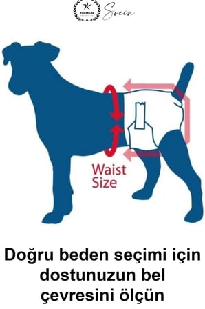 #KöpekKülotBezi Köpek Külot Bezi Medium Beden 6-11 kg Evcil Hayvan Pet Tek Kullanımlık Ultra Emici Hızlı Kuruyan Sızdırmaz Nefes Alabilir Cırtlı Elastik Bel Bandı Orta Irk Yavru Yaşlı İdrar Kaçırma