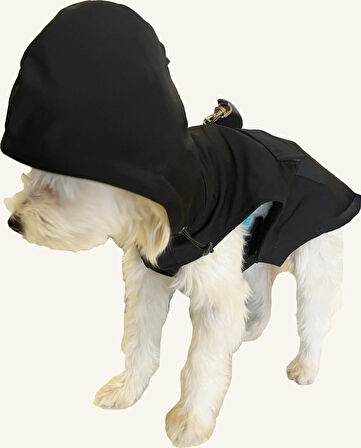 Rood Kapişonlu Köpek Yağmurluk Airtag Uyumlu