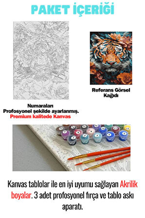 Sayılarla Boyama Çerçeveli Hobi Seti Numaralı Tuval Fırça Boya Dahil Kasnaklı RENKLİ KAPLAN 40X50 Cm