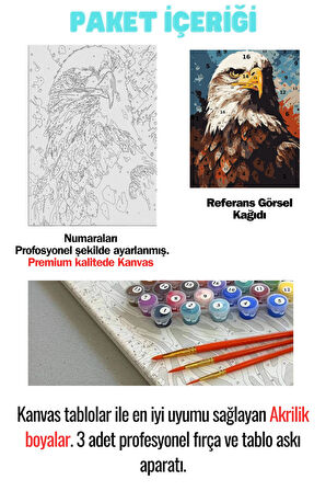 Sayılarla Boyama Çerçeveli Hobi Seti Numaralı Tuval Fırça Boya Dahil Kasnaklı KARTAL 40X50 Cm