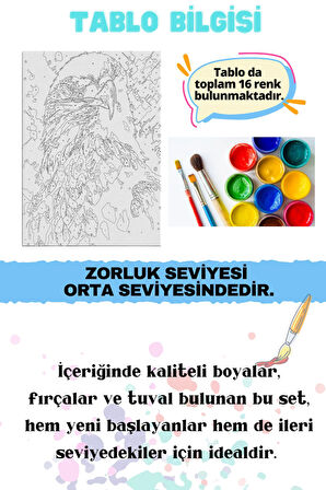 Sayılarla Boyama Çerçeveli Hobi Seti Numaralı Tuval Fırça Boya Dahil Kasnaklı KARTAL 40X50 Cm